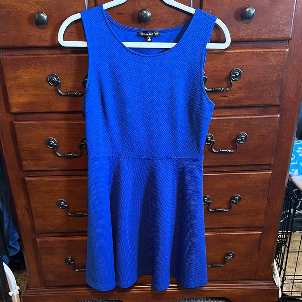 Blue Sleeveless Dress